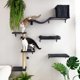 thumbnail image 4 of Estantería de pared para gatos FUKUMARU, pared de escalada de madera, gris, 4 of 9