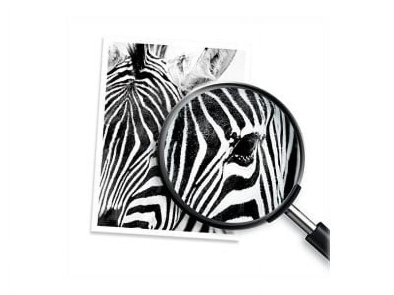 HPI 951 INK TRICLR - FRENCH