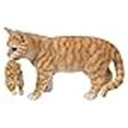 thumbnail image 3 of MOTHER CAT CARRYING KITTEN - ORANGE TABBY, 3 of 4