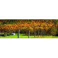 thumbnail image 2 of Hausenflock, Alan 14x7 White Modern Wood Framed Museum Art Print Titled - Autumn Splendor I, 2 of 4