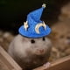 thumbnail image 5 of Gorro para mascota adorable, divertido gorro de pollo, gorro de felpa resistente, gorro de moda para hámster pequeño Azul, 5 of 9