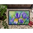 thumbnail image 3 of Carolines Treasures DAC1707JMAT 24 x 36 in. Unisex Tennessee Iris in Watercolor Indoor or Outdoor Mat, 3 of 5