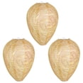 thumbnail image 1 of 3 trampas para insectos., 1 of 3