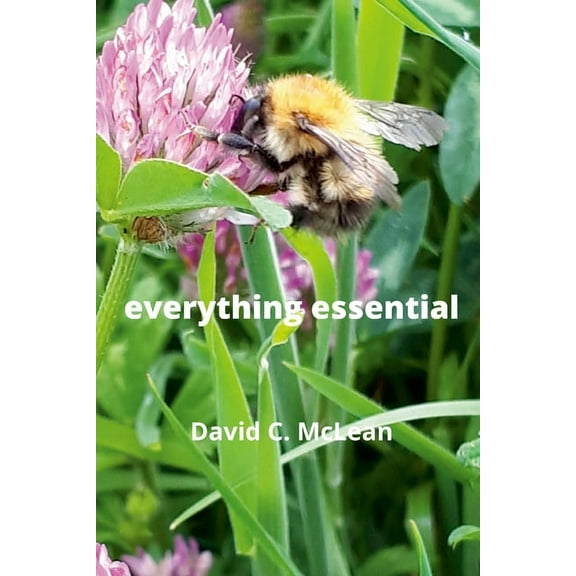 everything essential (Paperback)