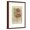 Brown Frame, variant on Art.com Floral Pattern Study I Art Print by Ethan Harper, 12" x 18"