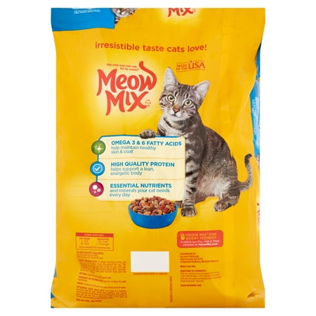 How To Improve My Cat S Immune System How To Improve My Cat S Immune System