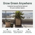 thumbnail image 3 of Tierra Verde 17-Inch x 17-Inch Flora Cube Planter Box for Patios or Decks, Khaki, 3 of 10