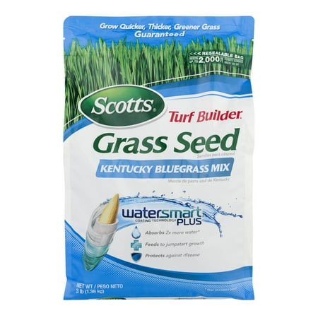 Lawn Seed - Scotts Turf Builder Kentucky Bluegrass Mix, 3 lbs
