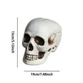 thumbnail image 3 of Realistic Plastic Skull - Halloween Skeleton Prop (Life-Size Spooky Decor for Yard & Parties), 3 of 5