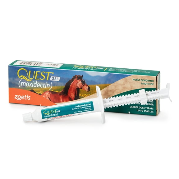 Jeringa de uso seguro con moxidectina en gel Horse Dewormer Quest de 15 ml