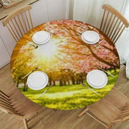 

SHERONV Sunshine Trees Grass Round Tablecloth Stain-Resistant Decor 31 -35