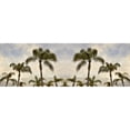 thumbnail image 3 of Blaustein, Alan 18x9 Black Modern Framed Museum Art Print Titled - Palm Banner - 2 - Color, 3 of 5