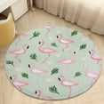 thumbnail image 4 of Flamingo Pattern Soft Bedroom Round Area Rug, Washable Cute Nursery Circle Throw Mat, Non-Slip Contemporary Small Low Pile Floor Carpet for Dorm Bedside, 4 of 6