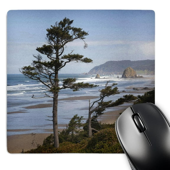 3dRose, Cannon Beach and Haystack Rock, Oregon, USA - US38 JWI0503 - Jamie and Judy Wild, MousePad