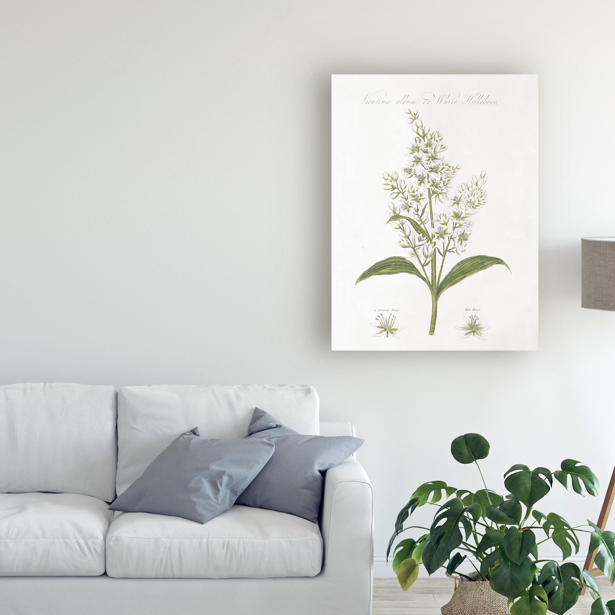 Trademark Fine Art 'Botany Book XI White Green' Canvas Art by Wild Apple Portfolio