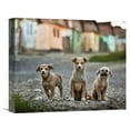 thumbnail image 1 of Global Gallery Sorin Onisor 'The Three Musketeers' Canvas Wall Art, 1 of 4