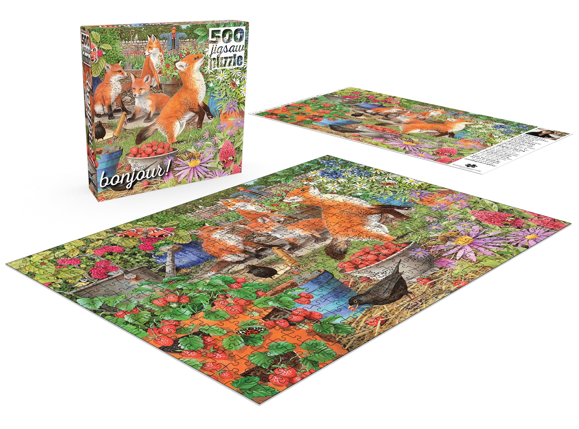 500 BONJOUR - FRENCH