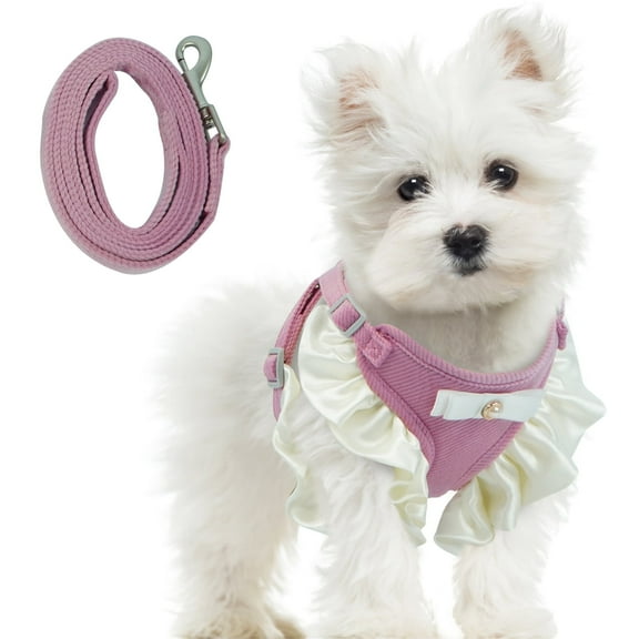 ROZKITCH Adjustable Dog Harness and Leash Set, Cute Dog Vest Harness, Soft Pet Harness for Small Dogs, Purple