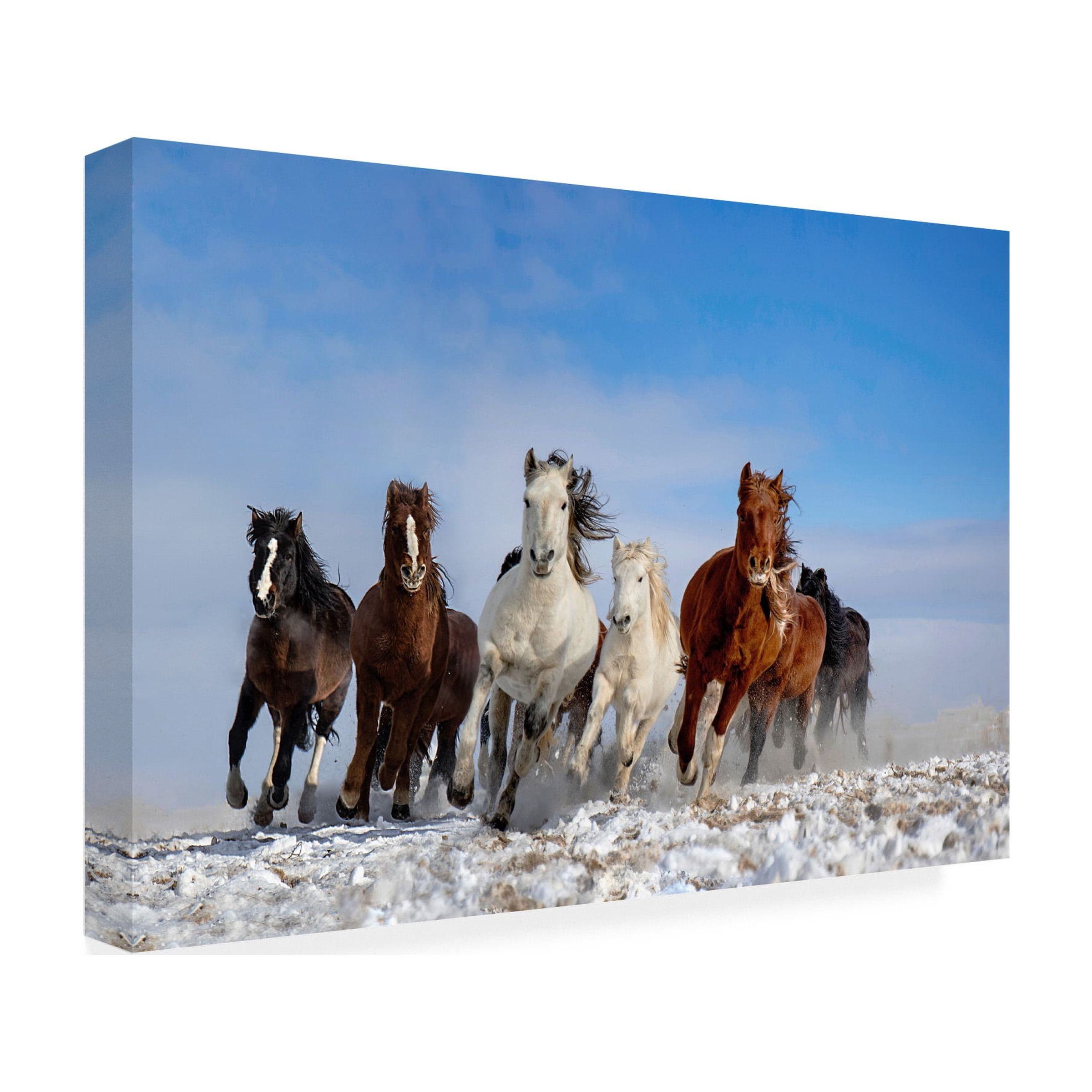 Libby Zhang 'Mongolia Horses' Canvas Art