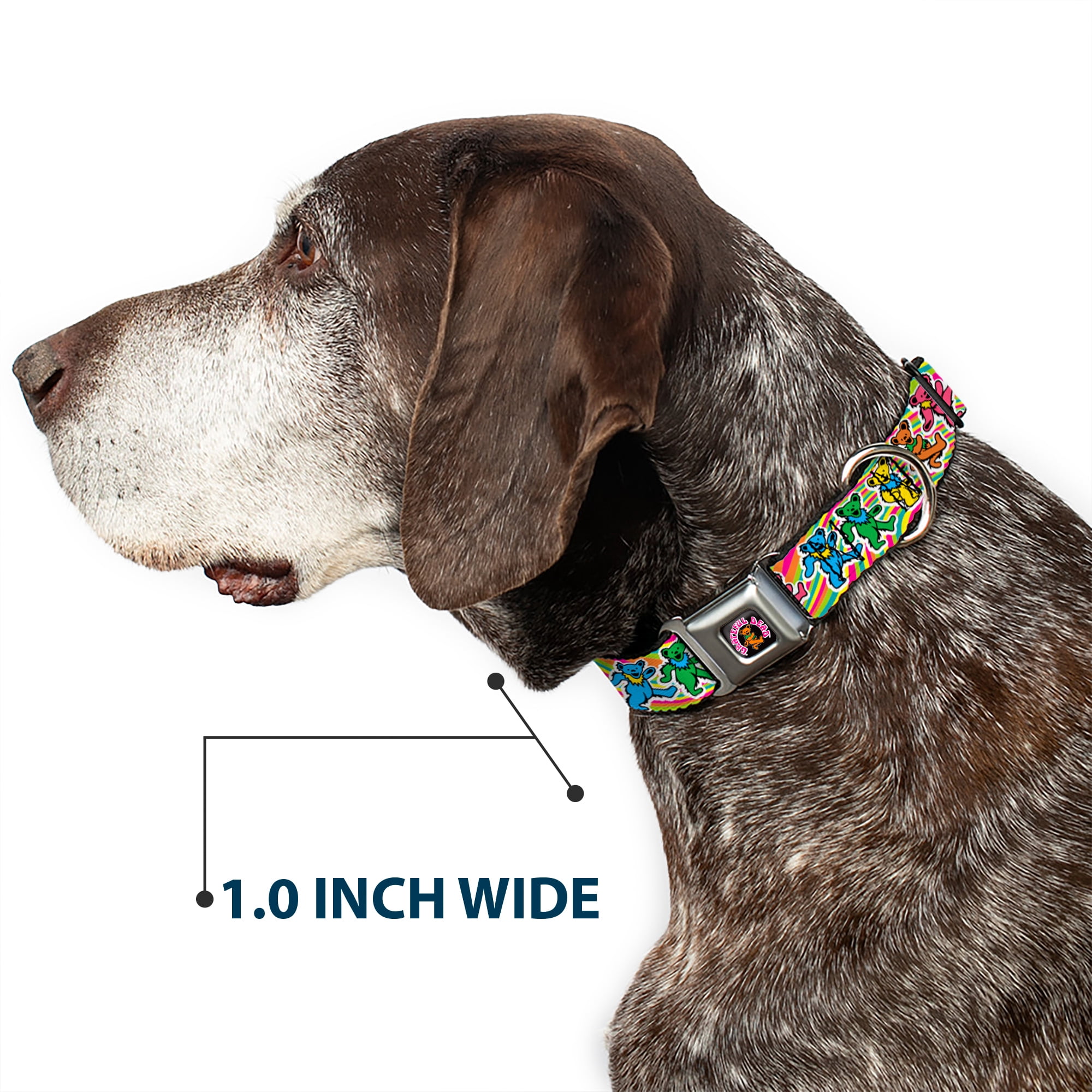 Grateful Dead Pet Collar, Dog Collar Metal Seatbelt Buckle, Grateful Dead Dancing Bears Swirl Multi Color, 15 to 24 Inches 1.0 Inch Wide