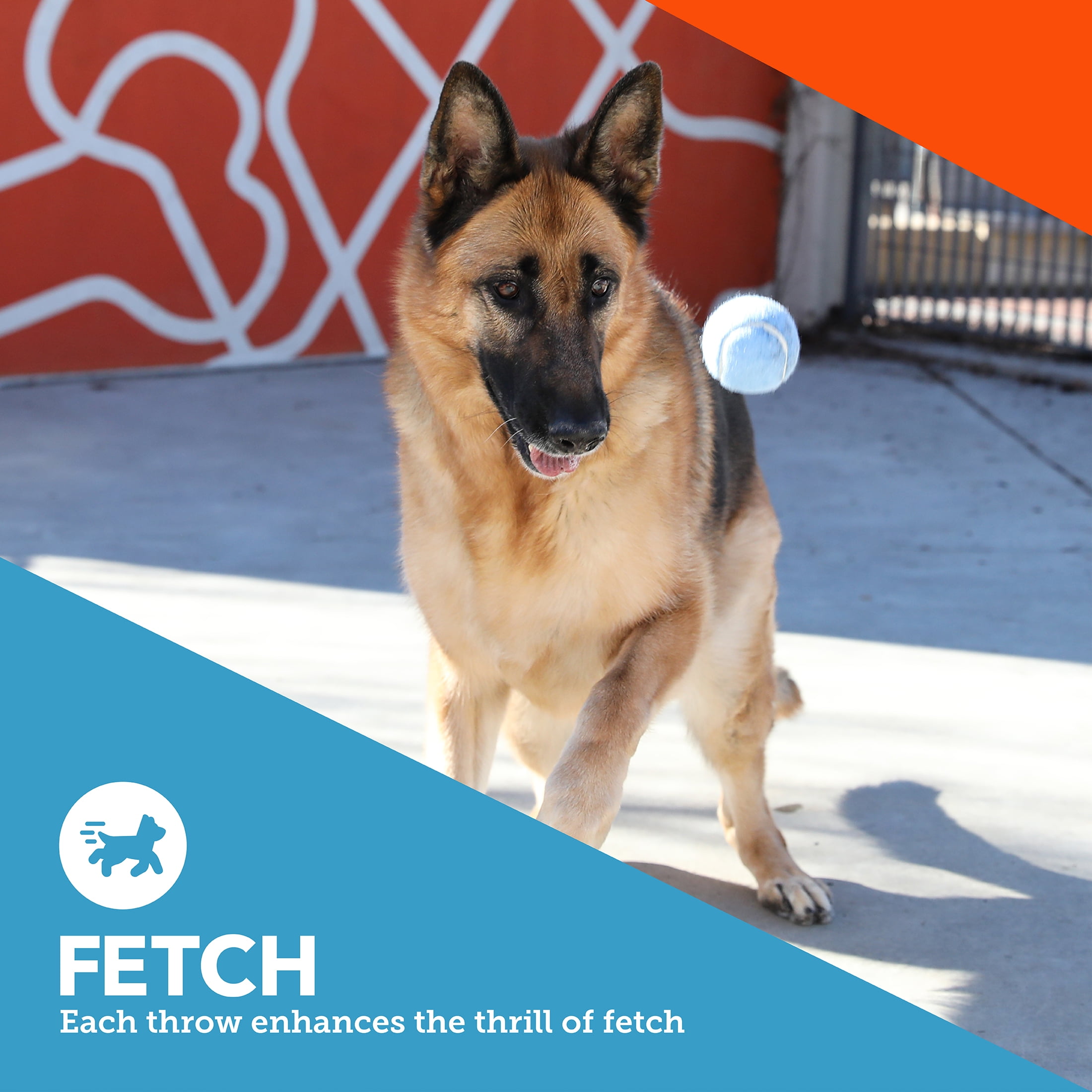 Vibrant Life Fetch Balls Dog Toy, 3 Pack