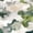 Color 1, variant on Peel and Stick Wallpaper Seamless Camouflage Realistic Moss Bark Textures Wall Mural 23.6in x 9.8ft Self Adhesive Removable Wall Paper Renter Friendly Wallpaper for Farmhouse Bedroom