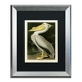 thumbnail image 2 of Trademark Fine Art "American White Pelican" Canvas Art by John James Audubon Black Matte, Silver Frame, 2 of 4