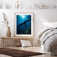 thumbnail image 6 of Diamond Art Kits for Adults - 5d Ocean Whale Swimming Over Coral Diamond Painting for Adults, Diamond Art for Adults Beginners, Diamond Painting Kits for Adults for Home Wall Decor, 6 of 7