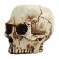 thumbnail image 1 of Skull Plant Container, High Strength Exquisite Clear Shape Skull Head Flower Pot Decorative Resin Portable  For Home, 1 of 8