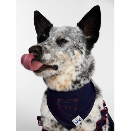 Kacey Lee Denim Pocket Pet Bandana for Cats and Dogs, Blue, Medium/Large