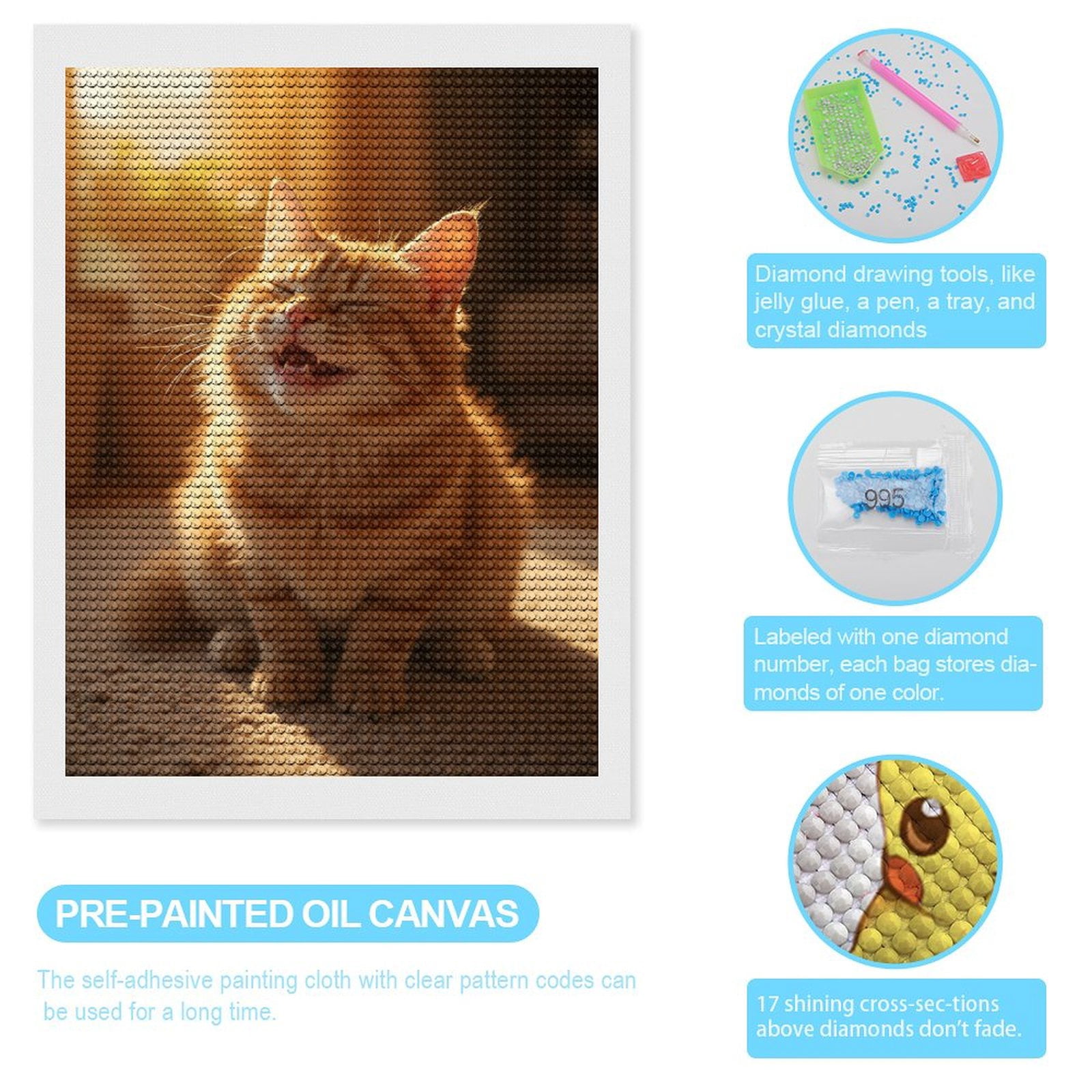 Diamond Art Kits for Adults, Smiling Cat In Sunlit Room 5D Diamond Painting Kits for Adults Beginners, DIY Full Drill Diamond Painting, Gem Art and Crafts 12x16