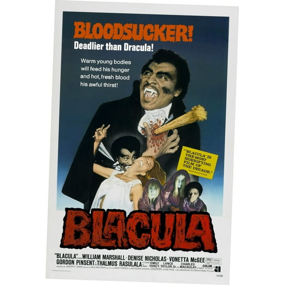 Blacula Movie Poster 12x16 Print on Metal Sign 12in x 16in Multi-Color Square Adults Best Posters