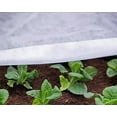 thumbnail image 4 of Agfabric Warm Worth Roll Floating Row Cover & Plant Blanket, 0.55oz Fabric of 5x100ft for Frost Protection, Harsh Weather Resistance& Seed Germination, 4 of 5