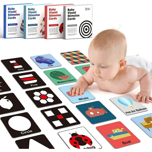 Baby Einstein Flash Cards