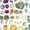 Color 4, variant on Peel and Stick Wallpaper Rainbow vegetables fruits berries sketch food Pumpkins bananas 24in x 118in Contact Paper Removable Self Adhesive Wall Mural Wall Decor for Bedroom Kitchen Cabinets