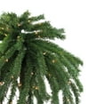 thumbnail image 2 of Northlight Pre-Lit Artificial Palm Tree - 6' - Clear Lights, 2 of 4