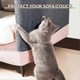 thumbnail image 3 of Adhesive Cat Scratching Mat | Adhesive Scratch Mat | Cat Scratching Mat | Post, 3 of 5