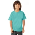 thumbnail image 1 of Hanes T-Shirt à Manches Courtes Col Ras du Cou ComfortWash pour Garçons, TG, Menthe, 1 of 1