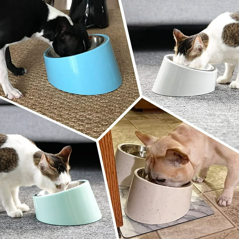 Buy Ergonomic Cat Feeding Bowls @ $22.99 - FREE SHIPPING