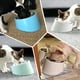 thumbnail image 5 of Cuenco inclinado de 15° sin desorden para perros y gatos, comedero para mascotas con ángulo inclinado, antideslizante y antiderrame, más fácil de alcanzar los alimentos S/0.5 taza blanco crema Xemadio YBY065-10, 5 of 6