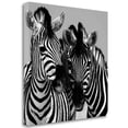 thumbnail image 2 of Tangletown Fine Art 'Namibia Zebras' Photographic Print on Wrapped Canvas, 2 of 2