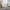 White, variant on Swivel Chair, Linen Round Barrel Chair with 360-Degree Swivel Solid Wood Base, Leisure Single Sofa Armchair Chair for Living Room, Bed Room, Club, Orange