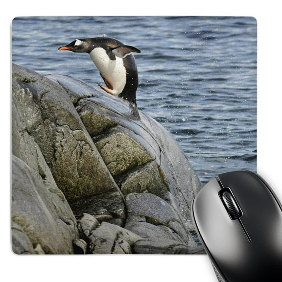 3dRose, Gentoo penguins jumping back to land after a swim Jougla Point, MousePad