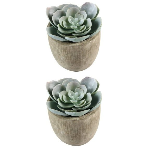 WORGEOUS 2pcs Decorative Faux Succulent Artificial Succulent Fake Simulation Plants with Gray Pots (030)
