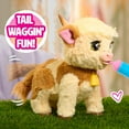 thumbnail image 4 of FurReal Maggie The Feed & Follow Cow, 11 Inch Interactive Highland Mini Cow, for Boys and Girls, Ages 4 and up, 4 of 8