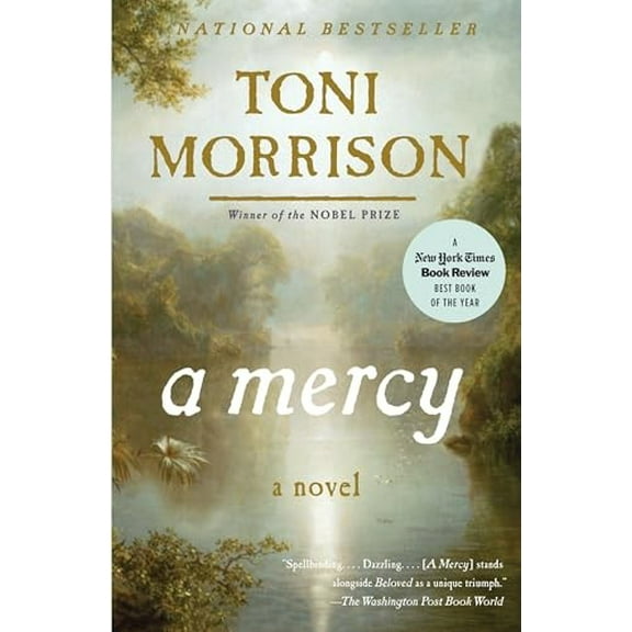 Pre-Owned A Mercy, by Toni Morrison, (Vintage International), Paperback, English