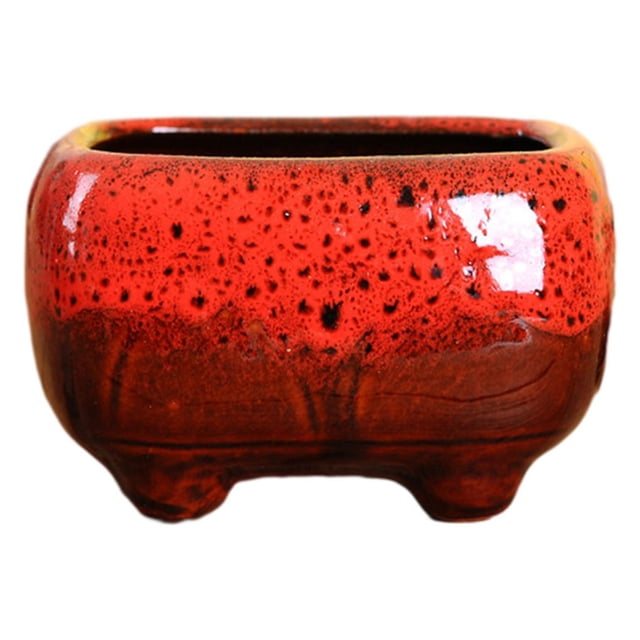 Bearachild Una hermosa maceta de cerámica para cada habitación de tu hogar Succulent red Type3 NO3