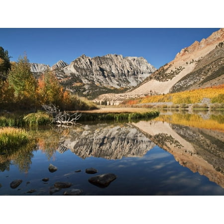 USA, California, Eastern Sierra. Fall Color Reflected in North Lake Print Wall Art By Ann