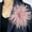 Pinkish Pink, variant on Dainty Feather Flower Brooch Pin, 150mm Feathers Corsages, Feather Hair Clip, Lapel Pins for Women Party Wedding Dress Decorations, Champagne