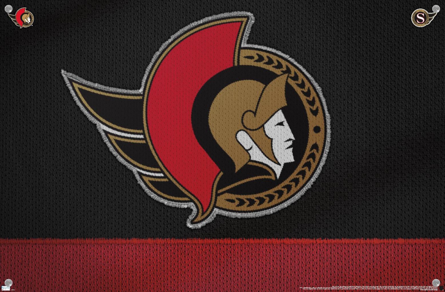 NHL Ottawa Senators - Logo 20 Wall Poster with Pushpins, 14.725" x 22.375"